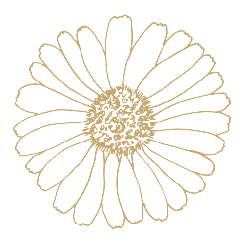 Blüte Schritt 2